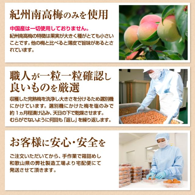 贈答 個包装 梅干し 紀州南高梅