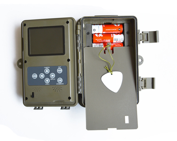 BIG-EYED3N（BUSH WHACKER）