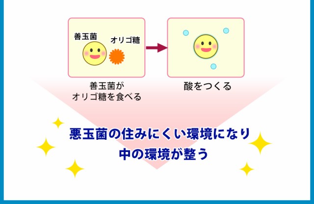 菌のチカラ 約3ヵ月分 ビフィズス菌 乳酸菌 ナットウキナーゼ 紅麹菌 酵母菌 サプリメント 健康食品の通販はau PAY マーケット - サプリ専門店シードコムスau  PAY マーケット店