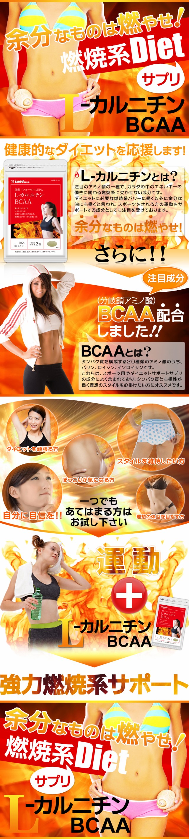 Lカルニチン BCAA 約3ヵ月分 燃焼 アミノ酸 ダイエット サプリメント 健康食品の通販はau PAY マーケット - サプリ専門店シードコムスau  PAY マーケット店