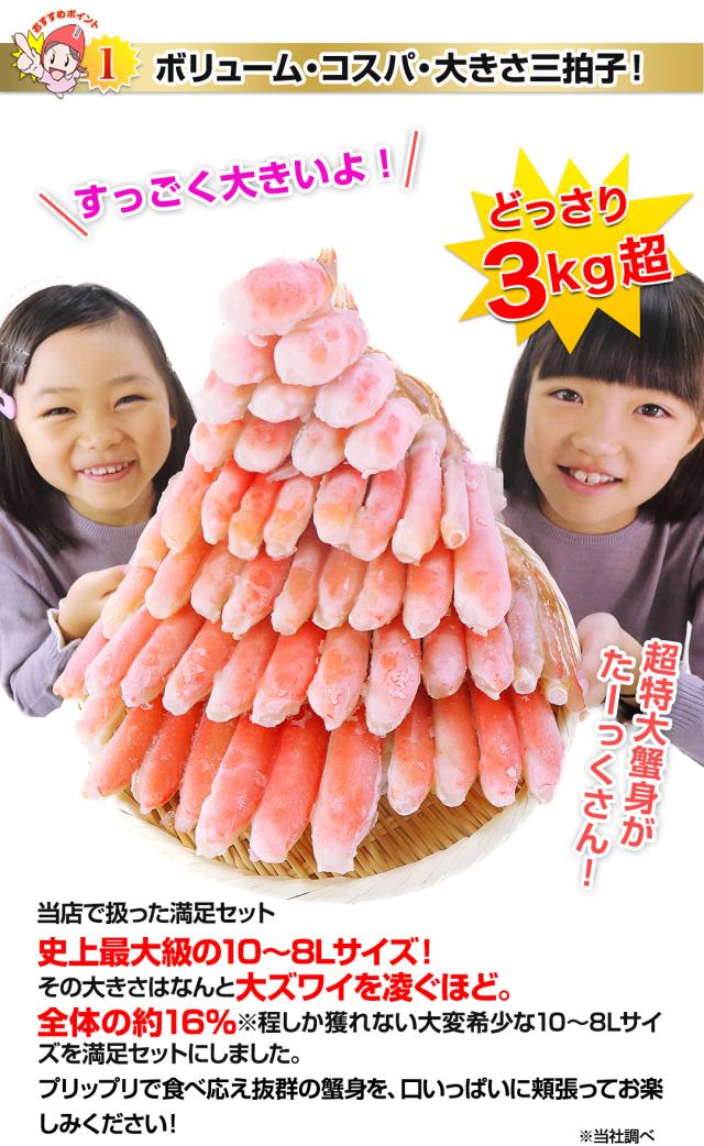 ボリューム・コスパ・大きさ三拍子