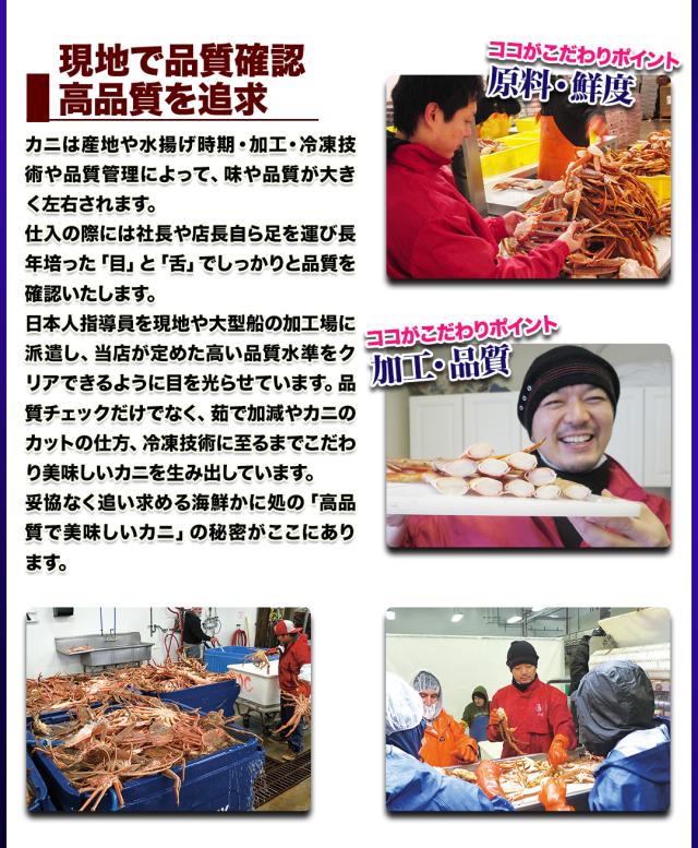 現地で品質確認