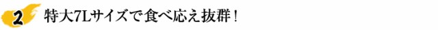 特大7Lサイズで食べ応え抜群