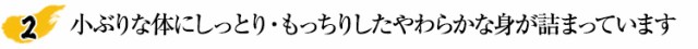 小ぶりな体にしっとり・もっちりしたやわらかな身が詰まってます