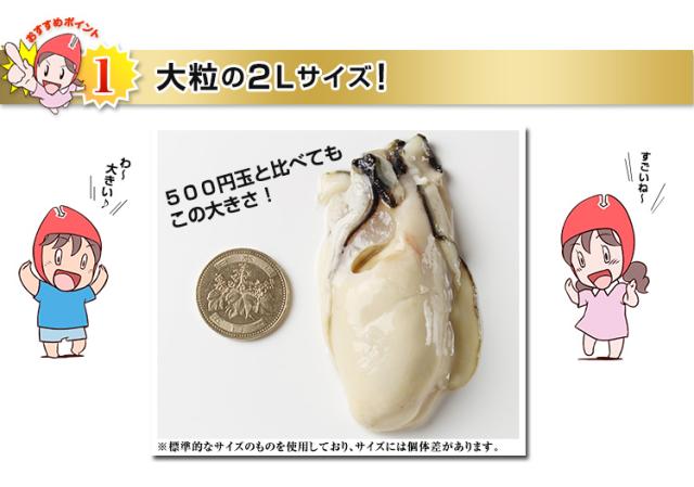 希少な特大3Lサイズ　通常、特大サイズと呼ばれるかきでも2Lサイズが多いなか！さらに大きい希少な3Lサイズをご用意！！