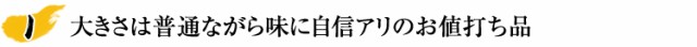 大きさは普通ながらたっぷり22〜26肩！味に自身有りのお値打ち品