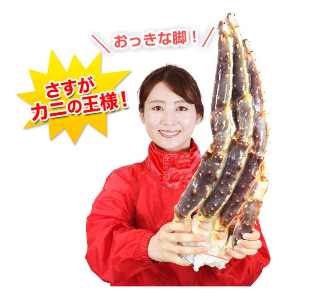 特大７Ｌサイズ