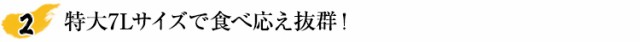 特大7Lサイズで食べ応え抜群