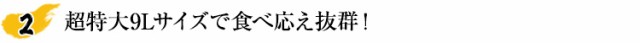 特大7Lサイズで食べ応え抜群