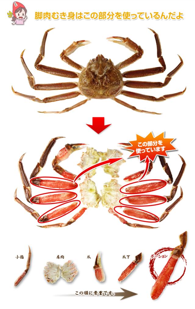脚肉むき身はこの部分を使っているんだよ。