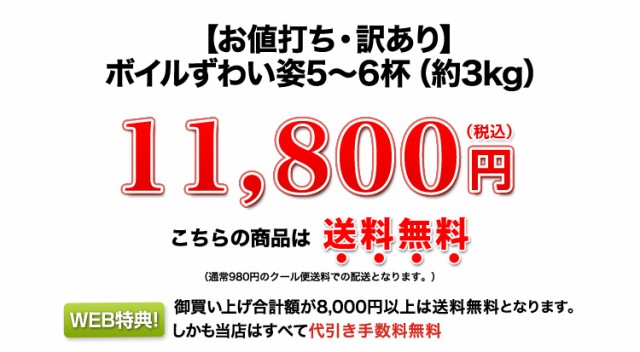 15,800円(税込)