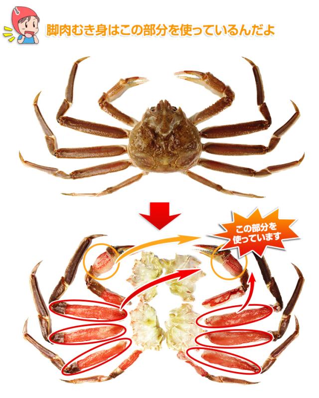 むき身はこの部分を使っているんだよ。