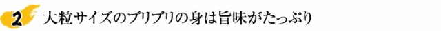 鮮度抜群！とれたてを船上凍結でそのままお届け