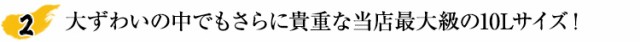 大ずわいの中でもさらに貴重な当店最大級の10Lサイズ