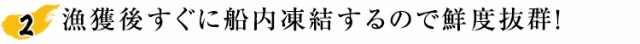 漁獲後すぐに船内凍結するので鮮度抜群！