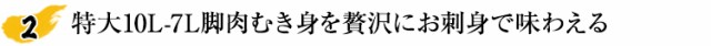 特大10L-7L脚肉むき身を贅沢にお刺身で味わえる