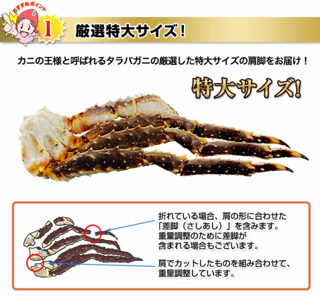 厳選特大サイズ!