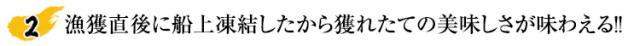 漁獲直後に船上凍結したから獲れたての美味しさが味わえる!!