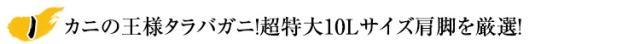 カニの王様タラバガニ!超特大10Lサイズ肩脚を厳選