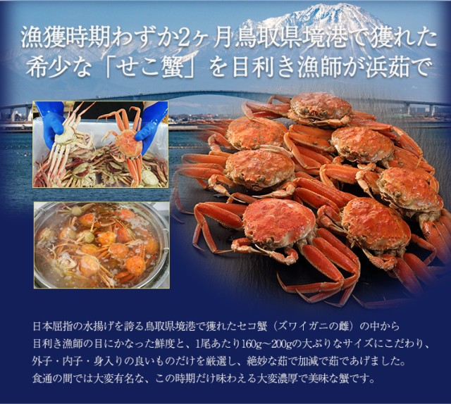 漁獲時期わずか2ヶ月鳥取県境港で獲れた希少な「せこ蟹」を目利き漁師が浜茹で