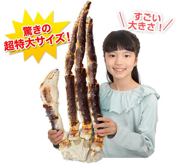 特大７Ｌサイズ