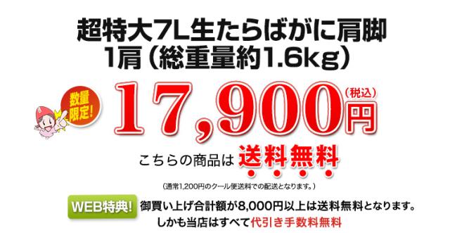 17,900円