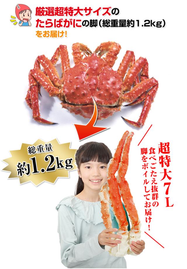 厳選特大サイズのたらばがにの脚（総重量約1.2kg）をお届け！