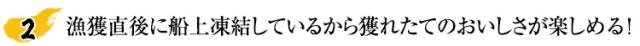 漁獲直後に船上凍結しているから獲れたてのおいしさが楽しめる！