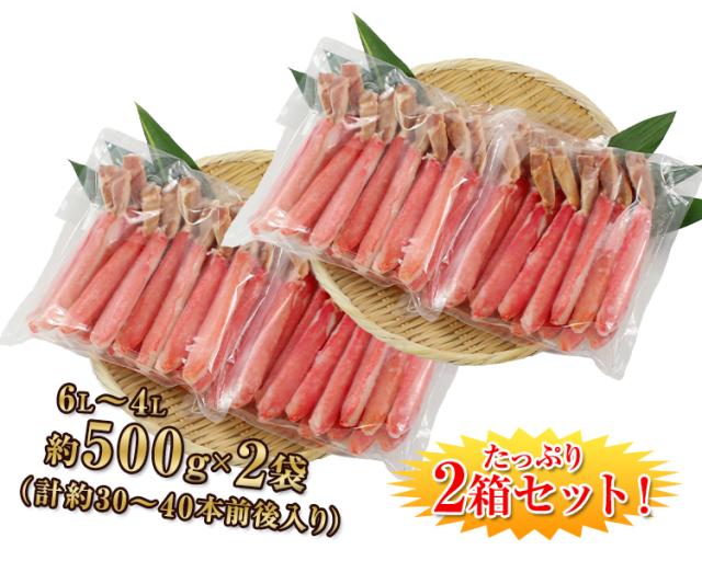 約500g×2袋(計約30〜40本前後入り)