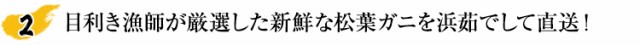 目利き漁師が厳選した新鮮な松葉ガニを浜茹でして直送！