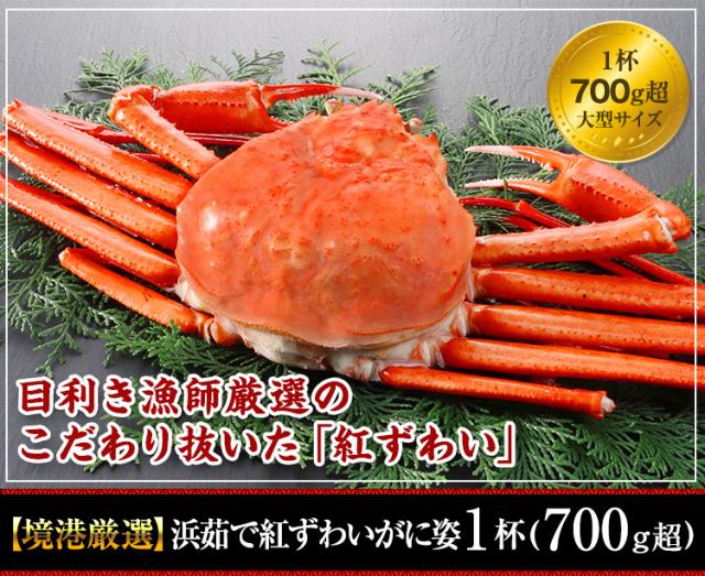【境港厳選】浜茹で大型紅ずわいがに姿1杯(700g超)