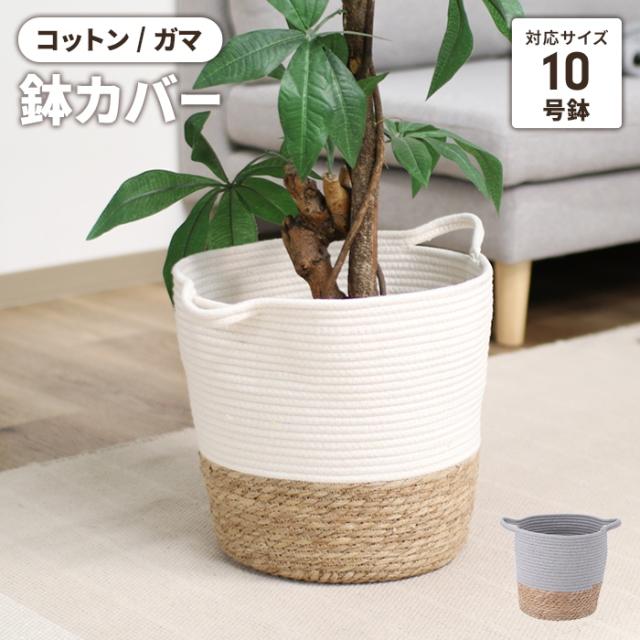 鉢カバー コットン/ガマ 10号