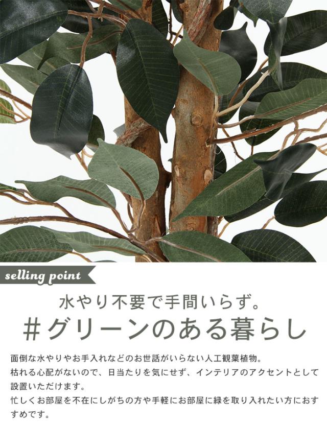 送料無料 フェイクグリーン フィカス 観葉植物 人工 高さ 150cm 6号鉢対応 人工 造花 フェイク グリーン シンプル オフィス おしゃれ 観葉 植物 鉢 全品送料無料 Charpentedemarine Philippesimon Fr