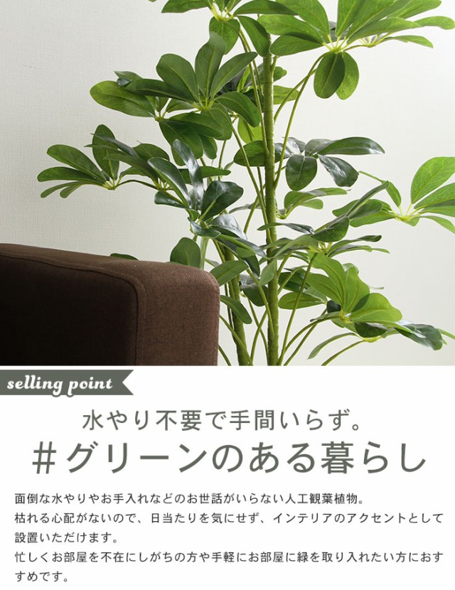 送料無料 フェイクグリーン ヤドリフカノキ 観葉植物 人工 高さ 1cm 7号鉢対応 人工 造花 フェイク グリーン シンプル オフィス おしゃれ 観葉 最新の激安 Arnabmobility Com