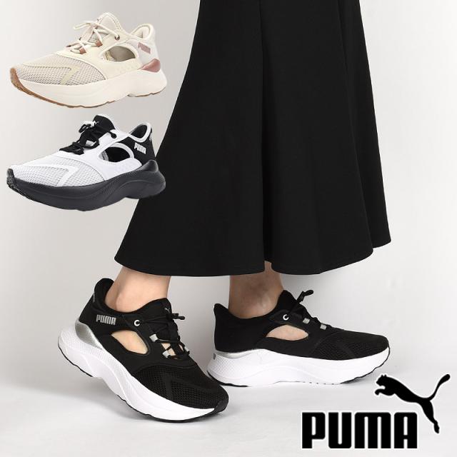 puma