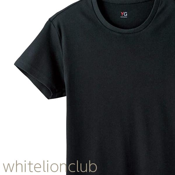 グンゼ YG ワイジー メンズ コットン100% 半袖 クルーネックTシャツ 10