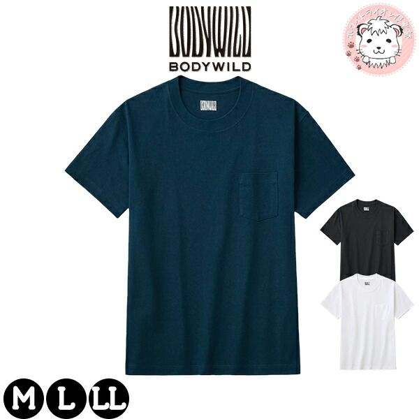 グンゼ ボディワイルド STANDARD Tシャツ 半袖 綿100% M/L/LL
