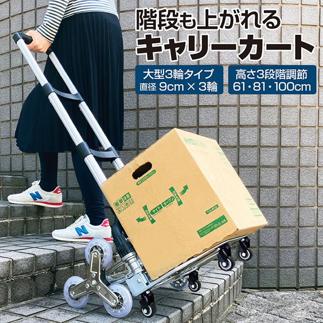 cart-03_01r.jpg