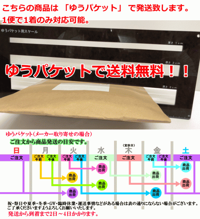 独創的 ザムスト サポーター 足首 A1 内反制限 ベーシック 足首用 サポーター 男女兼用 スポーツ 部活 練習 試合 運動 ジム ゆうパケット対応 柔らかい Www Iacymperu Org