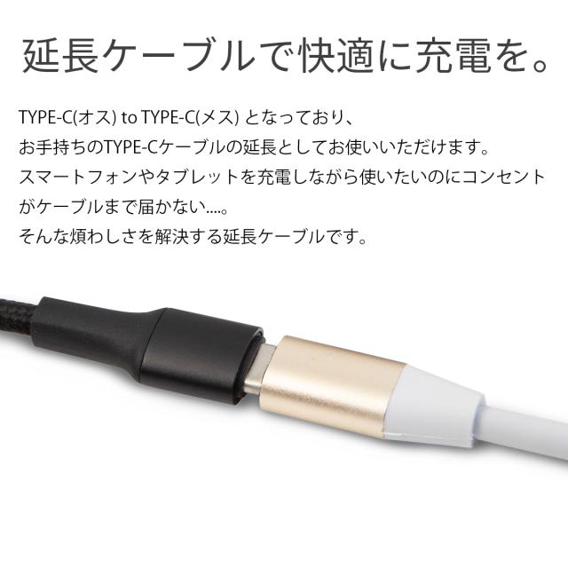 USB type-c 1m 延長ケーブル