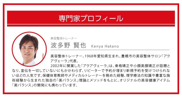 正規品新品 骨盤 クッション 馬具マットプレミアムEX 腰痛 座椅子 姿勢 補正 腰の通販はau PAY マーケット - lunebeauty店|商品ロットナンバー:269352958 人気爆買い