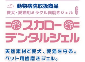 スカローデンタルジェル