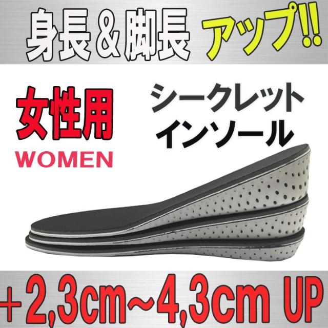 シークレットインソール