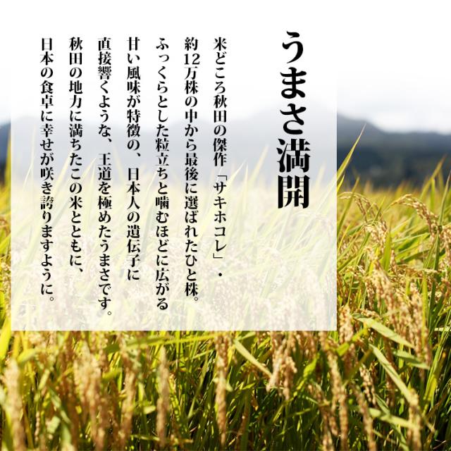 秋田のサキホコレ