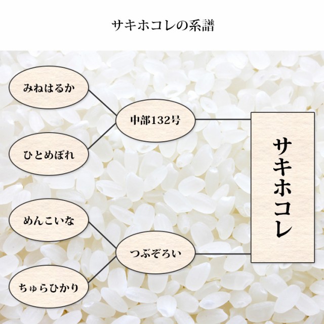 サキホコレの系譜