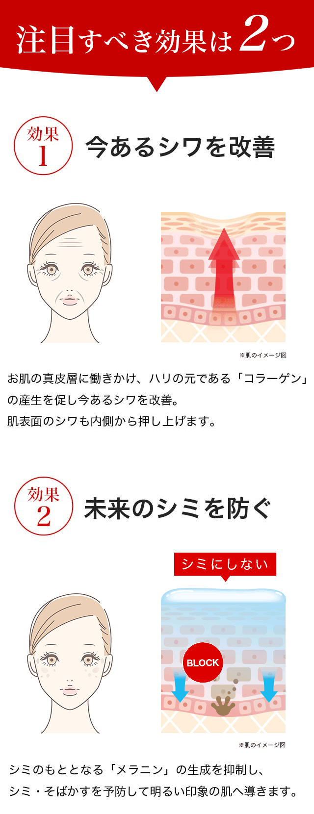 シワ改善 しみ予防 美白 白酵 シワ改善原液 30ml 1本 シミ予防 美容液