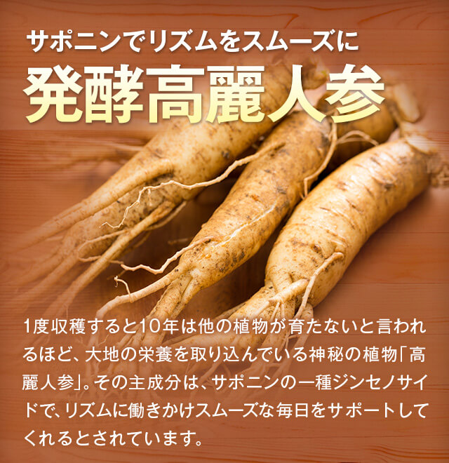 サポニンでリズムをスムーズに 発酵高麗人参