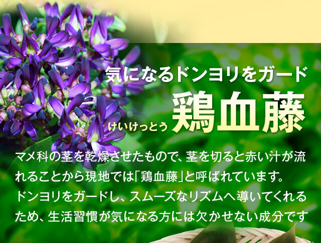 気になるドンヨリをガード 鶏血藤