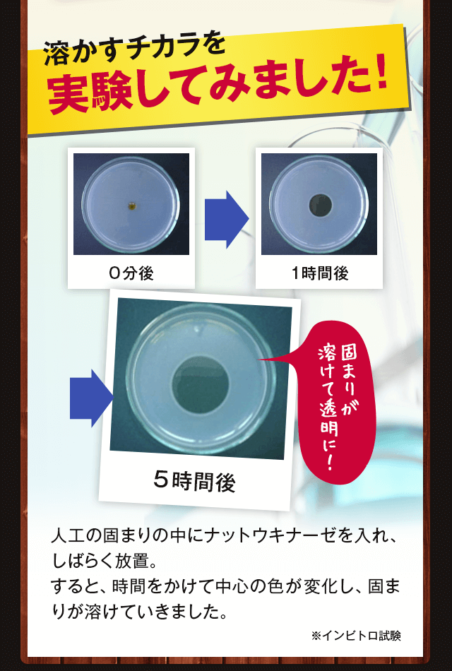 溶かすチカラを実験してみました!