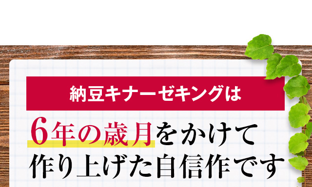 6年の歳月をかけて作り上げた自信作です